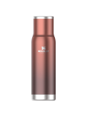 Termo (1 Lt)