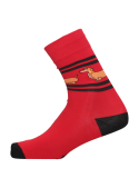 Calcetines Bacanes (Unisex)