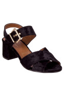 Sandalia Mujer Y155 Pollini negro